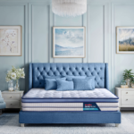 Strength Plus Memory Foam Coir Orthopedic Mattress With Euro Top